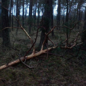 12storak 1,45 kg i 78 cm