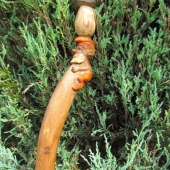 detektor húb