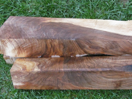 prírezy z koreňa orecha