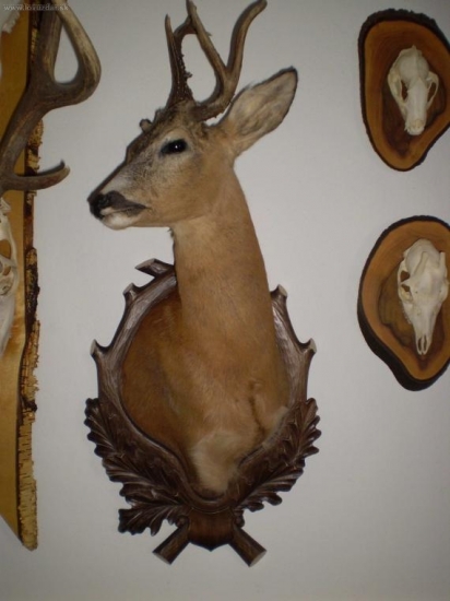 asymetricka podložka