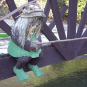 vodnik
