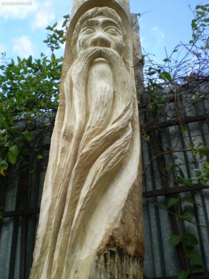 smrek,kmeň ponechany na koreni.