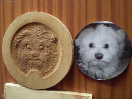 čelo na dubovy súdok