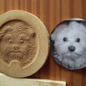 čelo na dubovy súdok