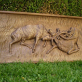 take polo 3D