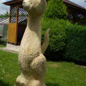150 cm,javor