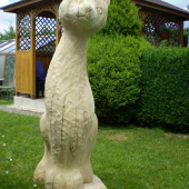 150 cm,javor