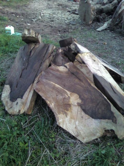 čiastočne spracovaný...