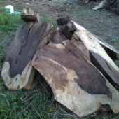 čiastočne spracovaný...