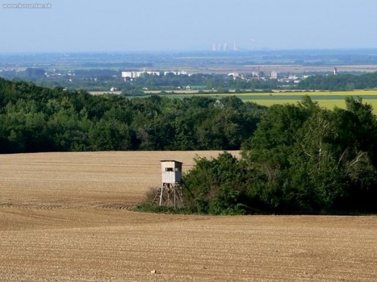 Kukurička je posiatá