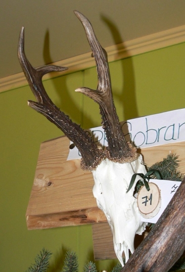 Zlaty srnec body 170,57 CIC