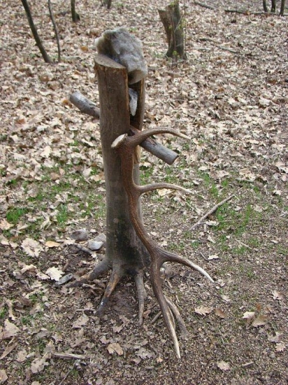 Doplňanie solísk sa oplatí