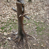 Doplňanie solísk sa oplatí