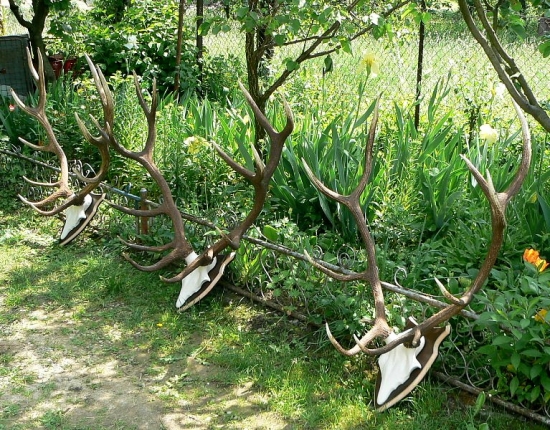 Zhody 2012 - už na lebkách.