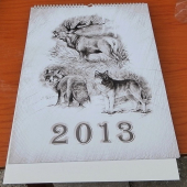 kalendár 2013
