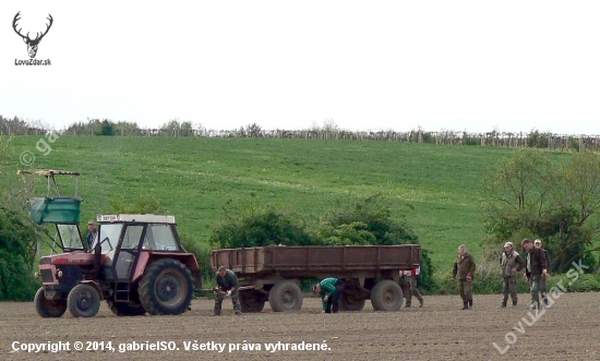 Jarná rozcvička.