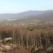 Domovina