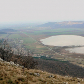 Smer Košice