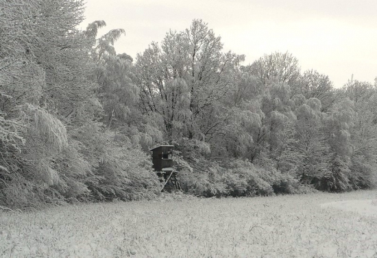 Konečne nám zasnežilo