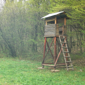 A už stojí