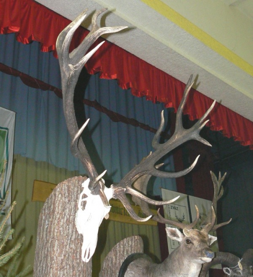 Zeml.poľ.dni - Sobrance