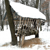 Prikrmovanie