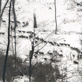 Jelenia zver