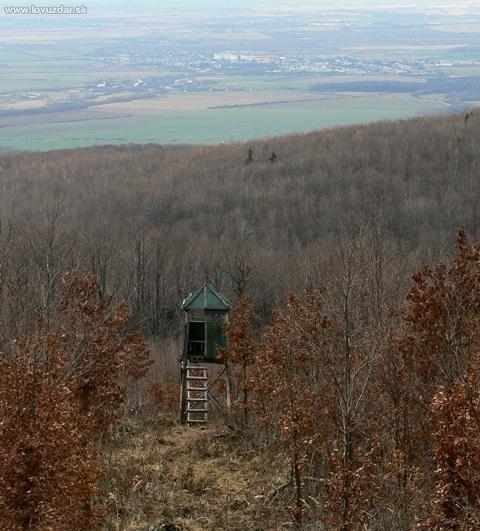 Tu pod lesmi začina Vychodoslovenská nížina