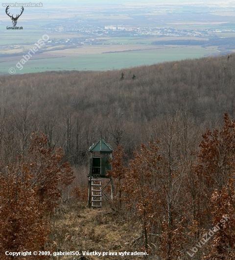 Tu pod lesmi začina Vychodoslovenská nížina