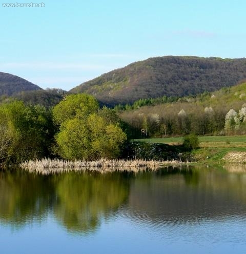 Časť z nášho revíru - Lapoš