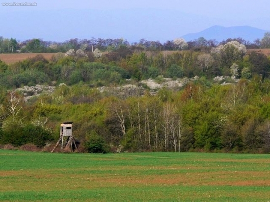 Posed -tu relaxujem najlepšie.
