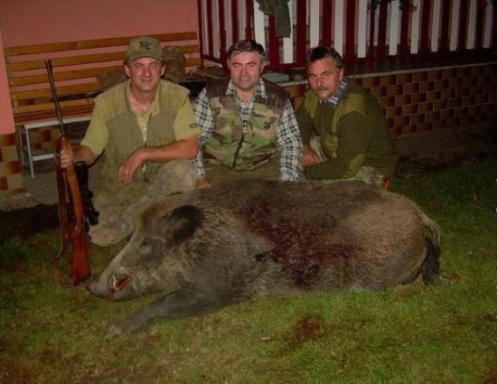 Zlaty diviak k fotke ID 89675