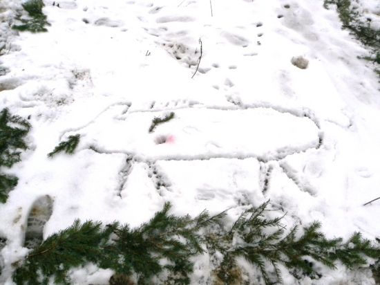 Spoločna poľovačka 2011 - vyrad