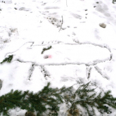 Spoločna poľovačka 2011 - vyrad
