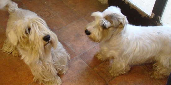 na rande do Maďarska :)