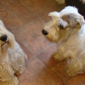 na rande do Maďarska :)