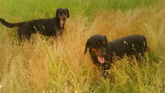 Moje študentky Diana (SK) a Andra (AJD)