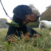 Brita.....ASTA z Neniniec -