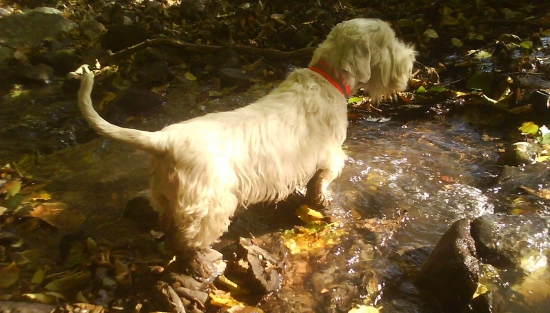 Osvieženie po náročnom pohone