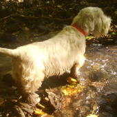 Osvieženie po náročnom pohone