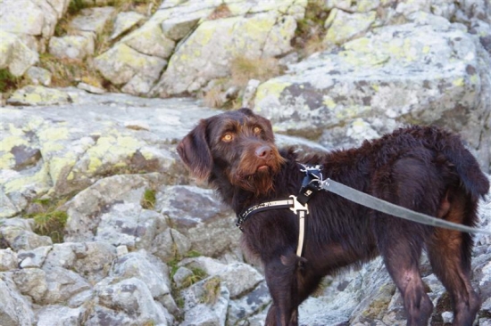 Ister cestou na Gerlach