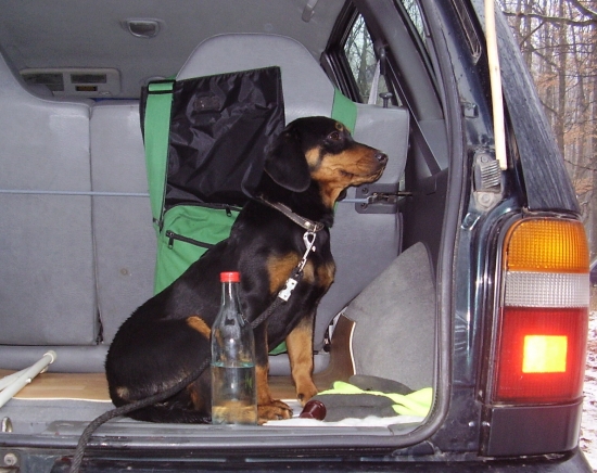 Brita po šťefánskej poľovačke