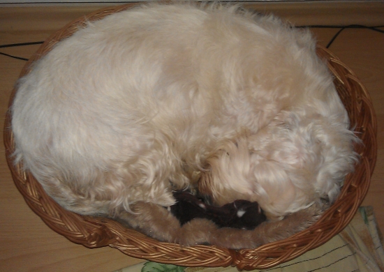 Tehuľka Debbie :DDDDD