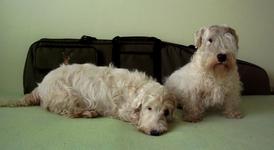 Valentínsky darček :)