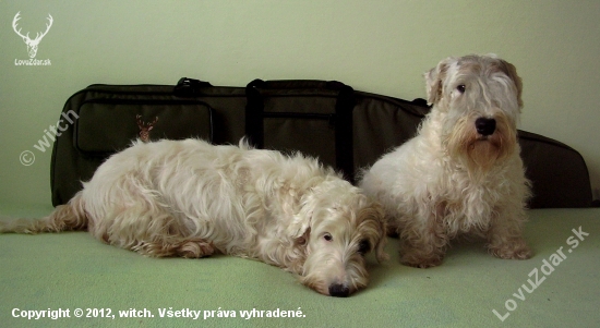 Valentínsky darček :)