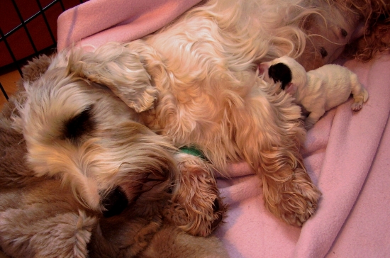 Debbie a jej dcérka