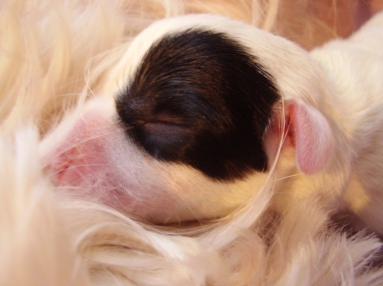 1. noc je zanami :)))