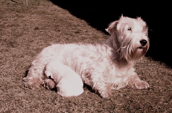 1. krát na slniečku