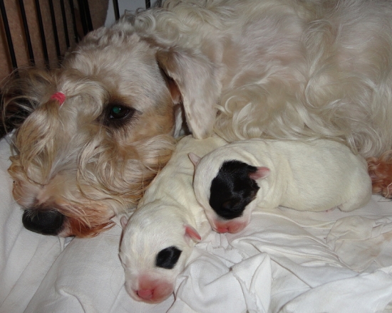 S plným bruškom :)