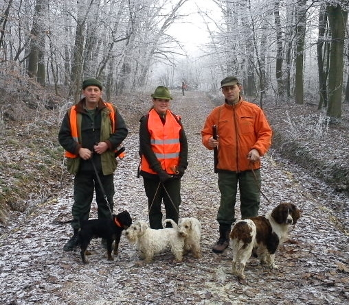 perfektná Vianočná